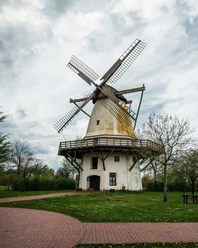 Hochzeitsmühle Tonnenheide Historische Mühle mit imposanten Flügeln in grüner Umgebung, umgeben von blühenden Bäumen.