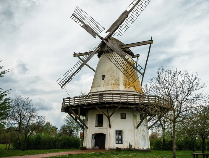 Hochzeitsmühle Tonnenheide Historische Mühle mit imposanten Flügeln in grüner Umgebung, umgeben von blühenden Bäumen.