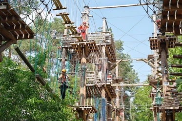 Rietberg_schnurstracks Kletterpark.jpg Mehrere Menschen klettern in einem Hochseilgarten zwischen Bäumen unter klarem Himmel.