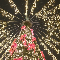 Weihnachtsbeleuchtung_2023.jpg Ein festlich geschmückter Weihnachtsbaum mit Lichterketten und roten Schleifen bei Nacht.