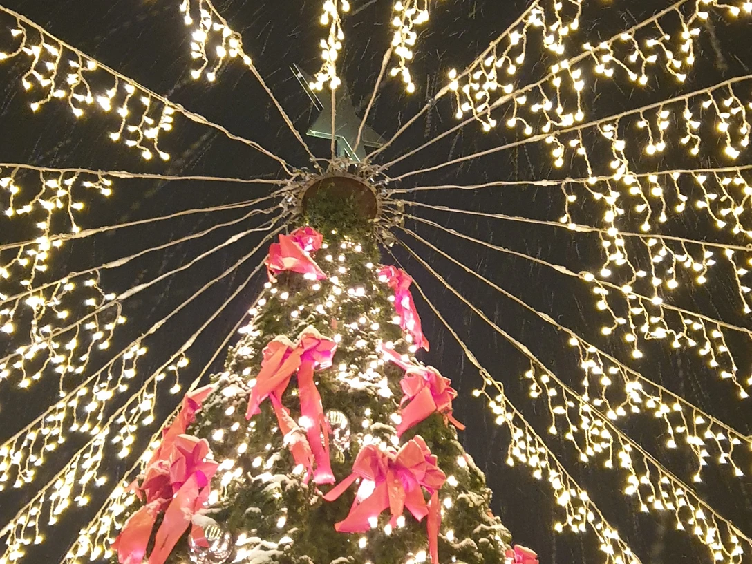 Weihnachtsbeleuchtung_2023.jpg Ein festlich geschmückter Weihnachtsbaum mit Lichterketten und roten Schleifen bei Nacht.