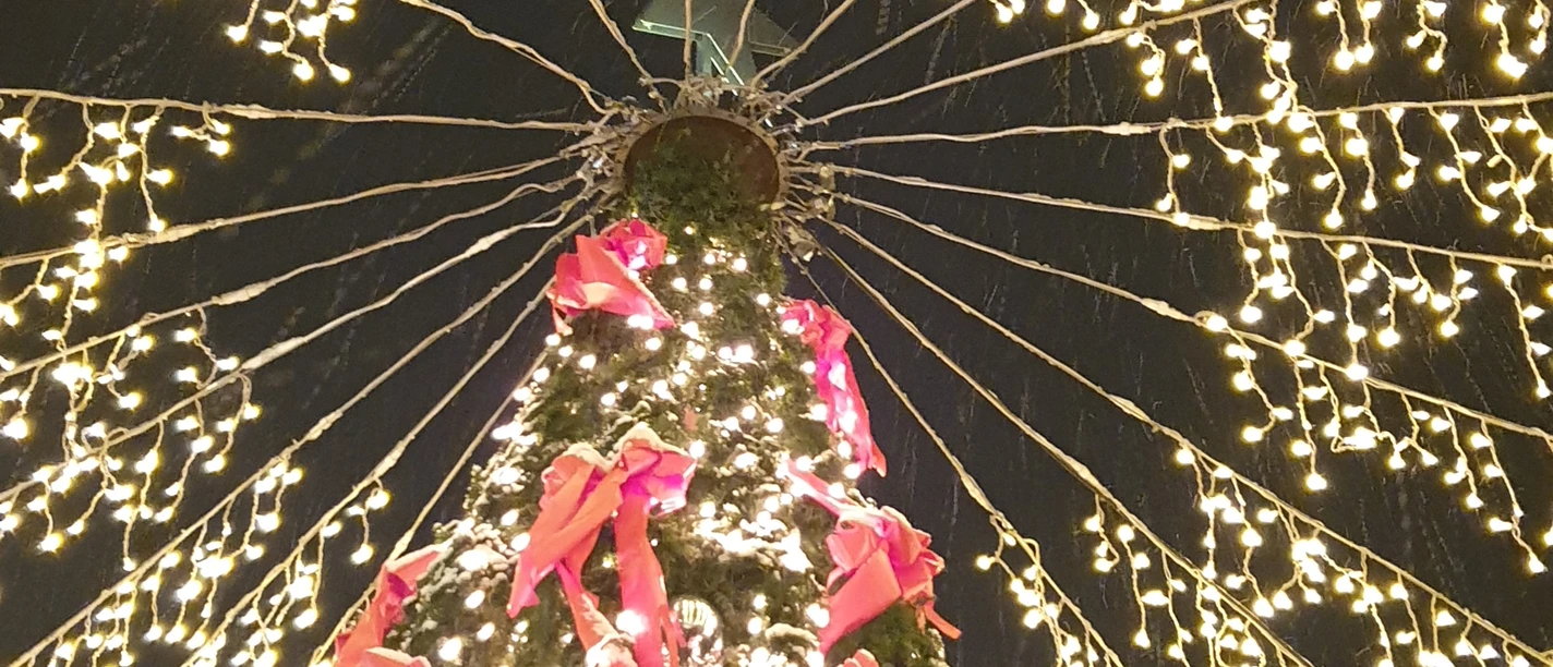Weihnachtsbeleuchtung_2023.jpg Ein festlich geschmückter Weihnachtsbaum mit Lichterketten und roten Schleifen bei Nacht.