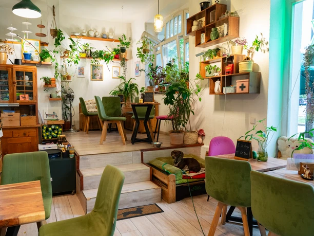 Forest Park Café - Kawiarnie w Lipsku Kawiarnia Forest Park Café w lipskiej dzielnicy Südvorstadt jest ozdobiona mnóstwem roślin