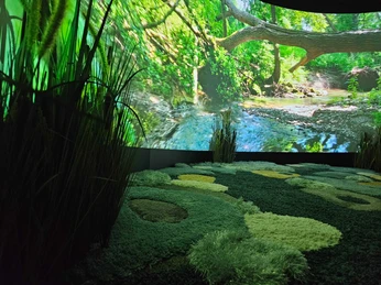 Nahaufnahme von der Leinwand in der Moorerlebniswelt.