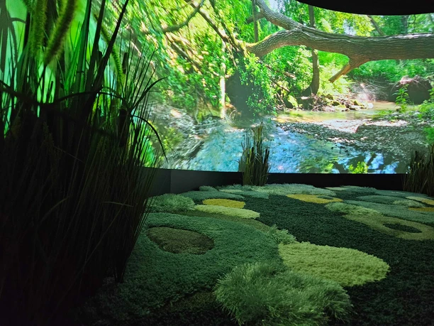 Nahaufnahme von der Leinwand in der Moorerlebniswelt.