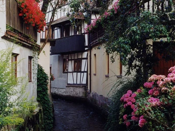 Bachanlage von Oberkirch