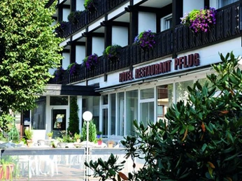 Hotel Pflug Terasse preview