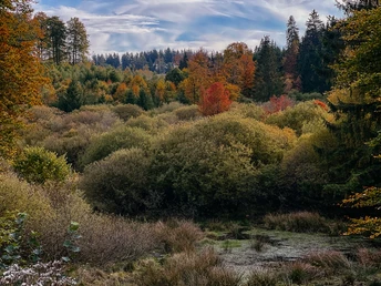 Herbstlandschaft im Edertal auf dem Rothaarsteig