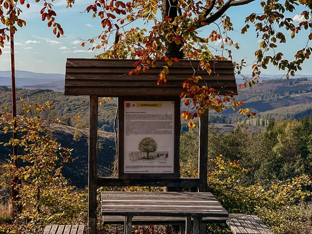 Rastplatz Kaffeebuche auf dem Rothaarsteig im Herbst