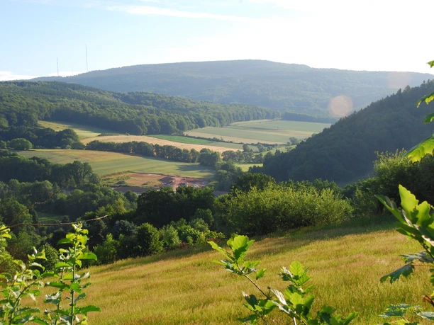 Bei Hasselbach 5