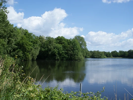 Ahlhorner Fischteiche