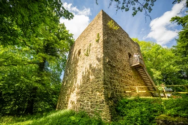 Burg Limberg: Ein mittelalterlicher Turm aus Stein, umgeben von grüner Vegetation und Bäumen.