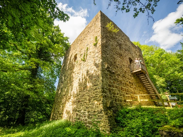 Burg Limberg: Ein mittelalterlicher Turm aus Stein, umgeben von grüner Vegetation und Bäumen.