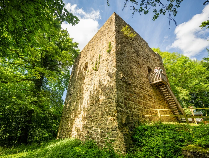 Preußisch-Oldendorf-Burg Limberg Burg Limberg: Ein mittelalterlicher Turm aus Stein, umgeben von grüner Vegetation und Bäumen.