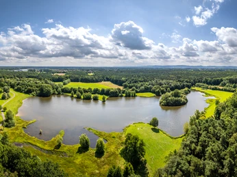 Wunderschöner See mit bewaldeten Ufern, umgeben von grünen Wiesen und sanften Hügeln.