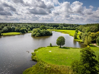 Grüner See mit einsamem Baum auf Insel, umgeben von Wald und gesäumt von zwei Schwimmern.