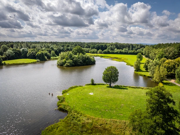 Kleihügelsee Grüner See mit einsamem Baum auf Insel, umgeben von Wald und gesäumt von zwei Schwimmern.