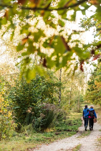 Wandern tut sich im Leipziger Neuseenland auch fantastisch: Hier in der neuen Harth