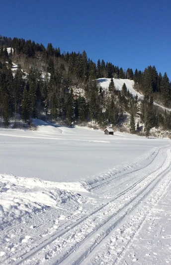 Langlaufloipe Thorbach