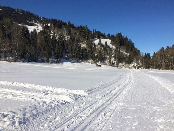 Langlaufloipe Thorbach