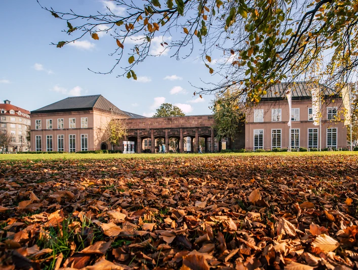GRASSI Museumskomplex Leipzig - Museen in Leipzig Der Johannisplatz vor dem GRASSI Museumskomplex ist mit buntem Laub bedeckt, im Hintergrund ist der Eingang zum Museum, Familie, Freizeit, Ausstellungen