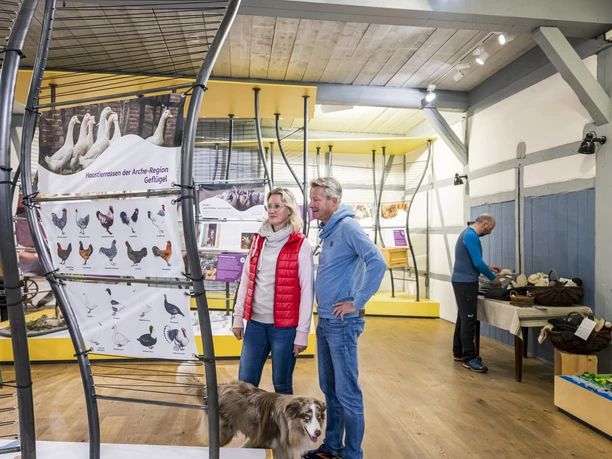 Die Ausstellung im Biosphärenzentrum Amt Neuhaus Die Ausstellung im Biosphärenzentrum Amt Neuhaus