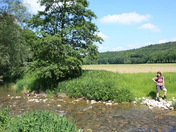 Natur an der Altenau