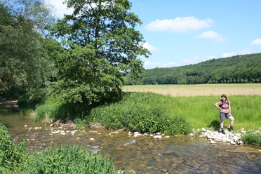 Natur an der Altenau Natur an der Altenau