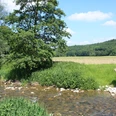 Natur an der Altenau Natur an der Altenau