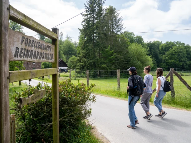 Forellenzucht Reinhardswald