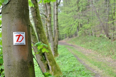 Extratour Dreienberg