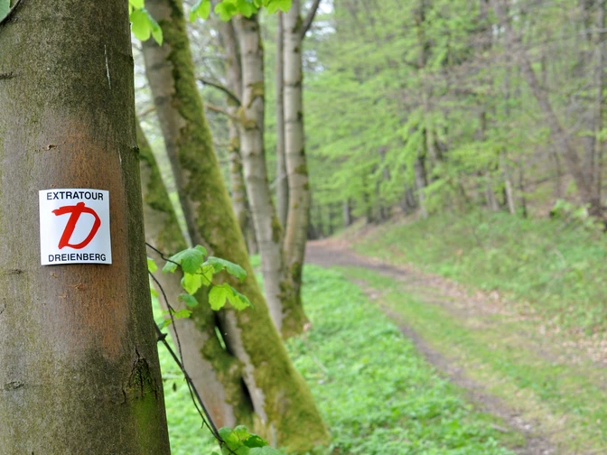 Extratour Dreienberg