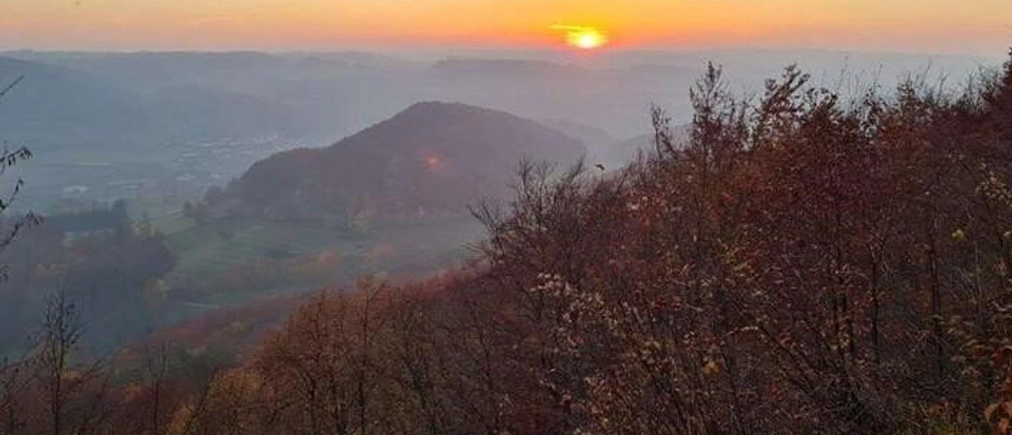 37af508a567380179687af08f38fabff