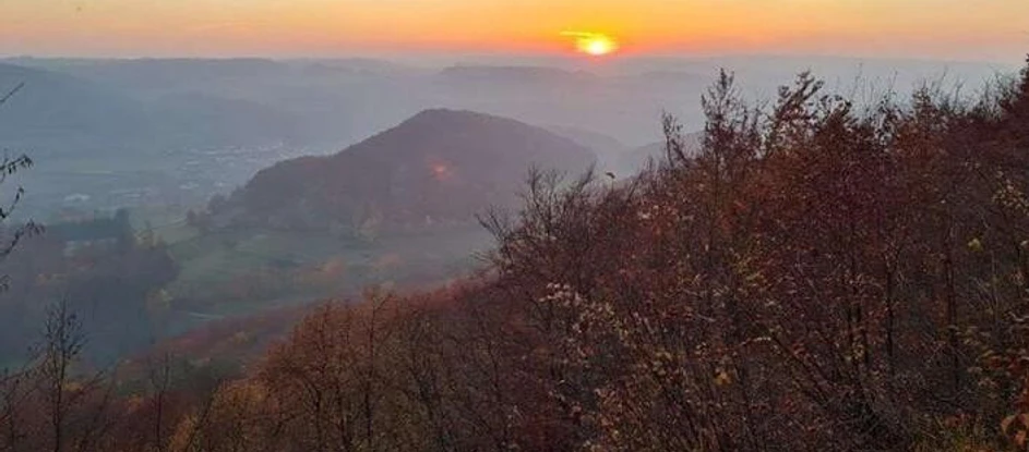 37af508a567380179687af08f38fabff