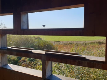Vogelbeobachtungsplateau_innen.jpg Blick aus einer hölzernen Vogelbeobachtungshütte auf eine weite, grüne Landschaft unter klarem Himmel.