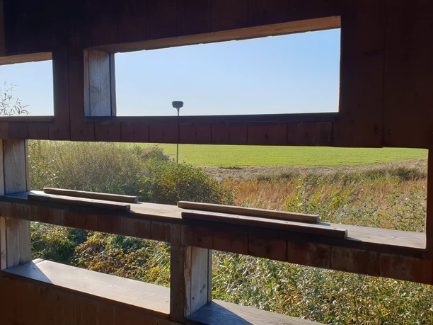 Vogelbeobachtungsplateau_innen.jpg Blick aus einer hölzernen Vogelbeobachtungshütte auf eine weite, grüne Landschaft unter klarem Himmel.