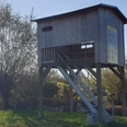 Vogelbeobachtungsplateau.jpg Eine erhöhte Vogelbeobachtungsplattform aus Holz mit Treppe und Sichtfenster in einer ländlichen Landschaft.