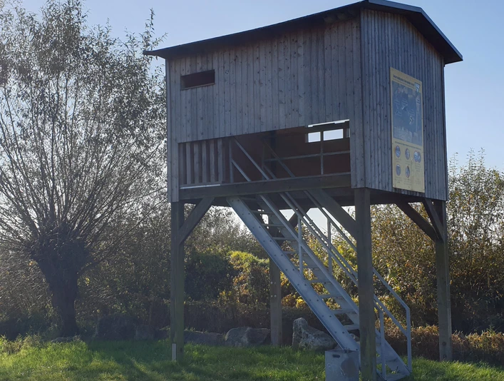 Vogelbeobachtungsplateau.jpg Eine erhöhte Vogelbeobachtungsplattform aus Holz mit Treppe und Sichtfenster in einer ländlichen Landschaft.