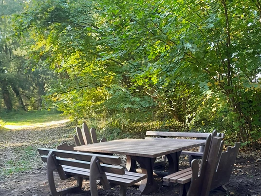 Holzgarnitur mit Tisch und Bänken in einem sonnigen, grünen Waldstück. Perfekt für eine Pause.