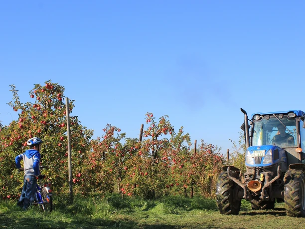 Obstplantage bei Leisnig