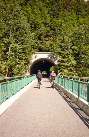 Flußradtouren im Erzgebirge - Tunneleinfahrt am Mulderadweg