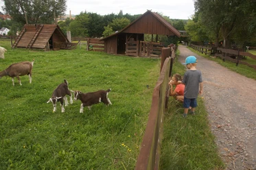 Tierpark Höckendorf