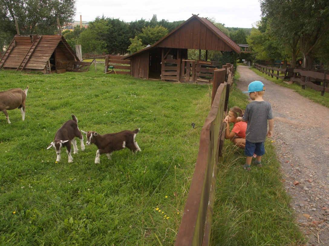Tierpark Höckendorf
