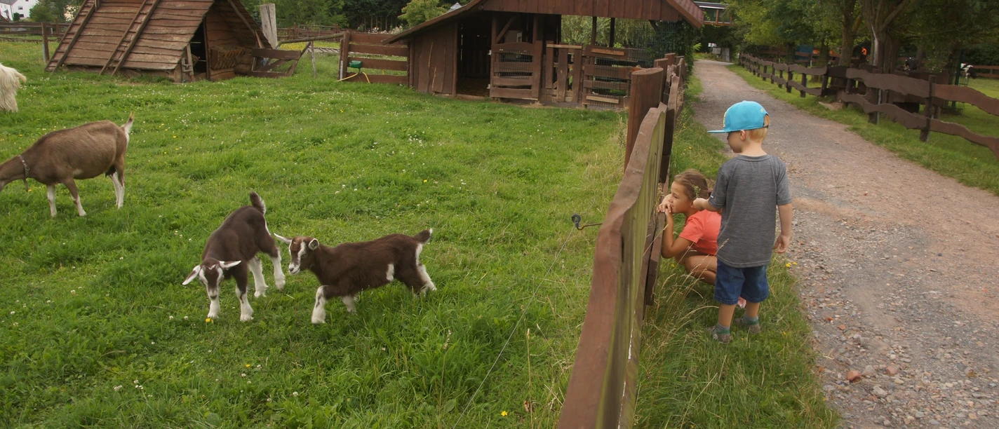 Tierpark Höckendorf