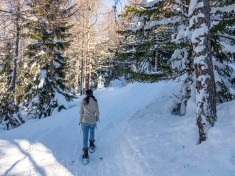 Schneeschuhlaufen Rosswald