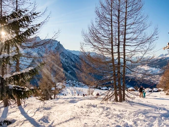 Schneeschuhlaufen Rosswald
