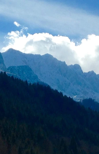 Blick vom Wohnzimmer / Terrasse