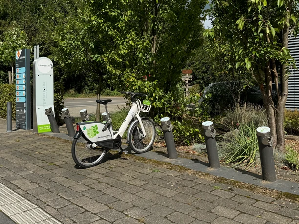 E-Bike Verleihstation Weiße Fahrräder an einer grauen Leihstation, umgeben von Bäumen und einem Weg im Hintergrund.