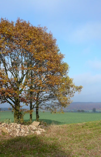 südlich von Bühren