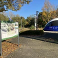 Infotafel Bahnhof Steinhagen Bahnübergang im Herbst, links Infotafel, rechts blauer Zug, umgeben von goldenen Herbstbäumen.